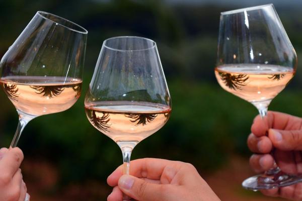 Vin rosé
